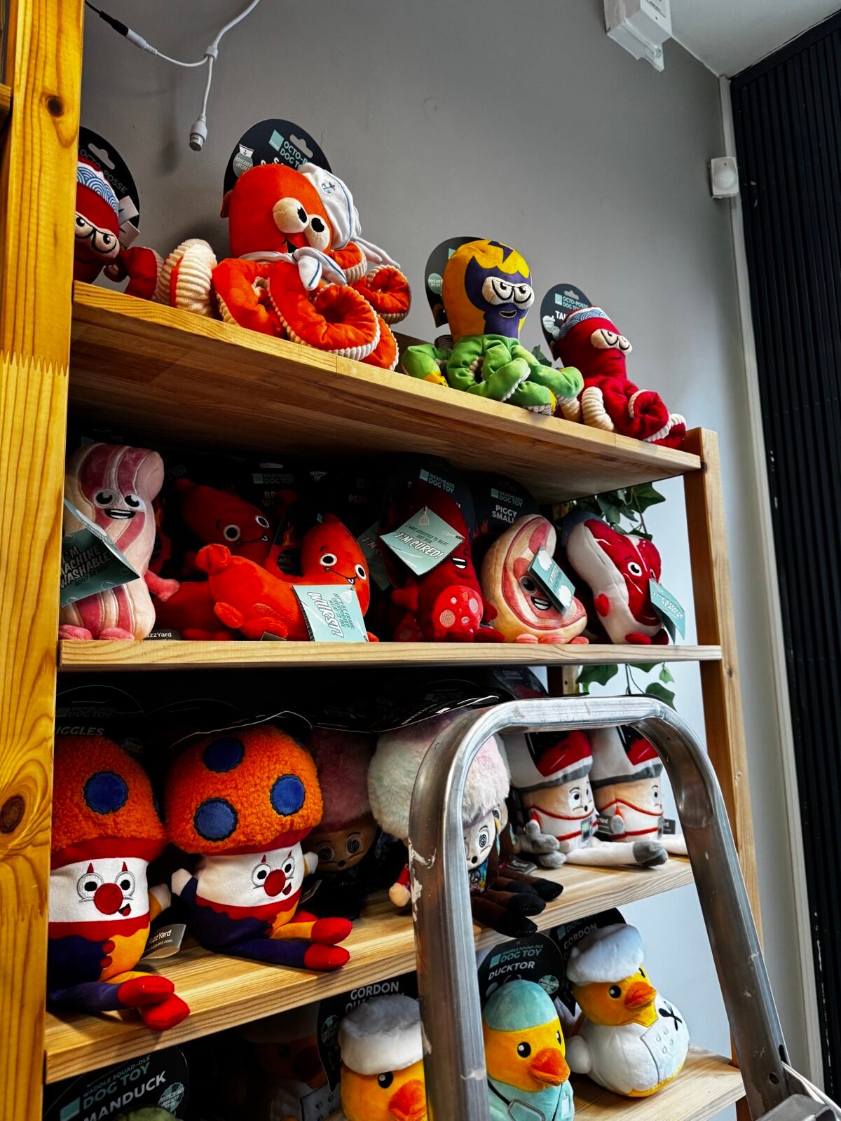 Plush pet toys on display in a Western independent pet store
