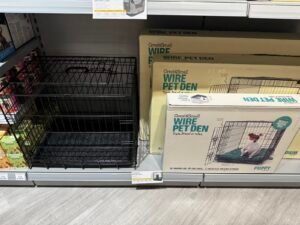 Bird Cage Setup and Enrichment: Creating an Optimal Habitat for Pet Birds