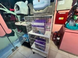 AI-Powered Pet Health Monitoring: Technology and Strategy