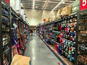 Pet Product Liability Insurance Guide