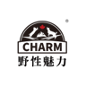 CHARM logo