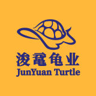 JunYuan Turtle logo