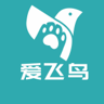 Love flying birds logo