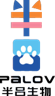 Palov Technology logo