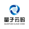 Quantum Cloud Code