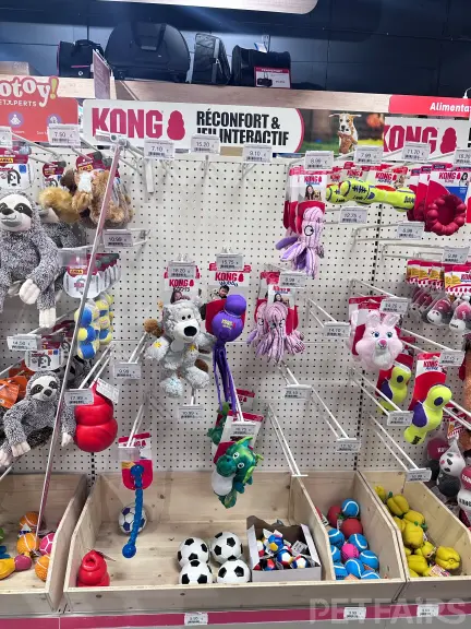 KONG's Own Block: Comfort and Interactive Play – Animalis Pet Show 2026