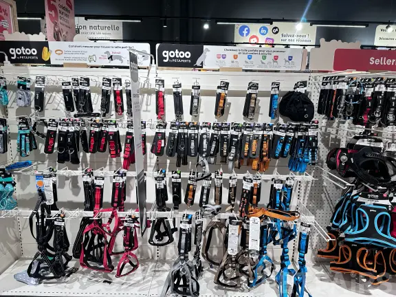 The Size Guide: "Comment mesurer pour trouver la taille parfaite?" – Animalis Pet Show 2026