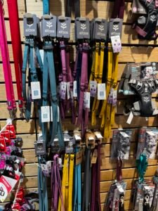 B&M: The UK’s Value Variety Leader and a Volume Channel for Pet Goods