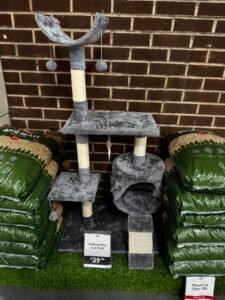 BJ’s Wholesale Club: America’s Third Warehouse Club and a Growing Pet Opportunity