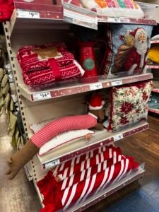 Sam’s Club: Membership-Warehouse Scale and Private-Label Pet Opportunity