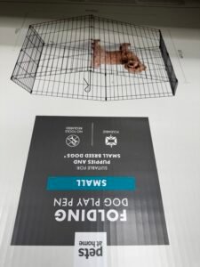TEDi: Germany’s Variety-Discounter Expansion Story for Pet Accessories