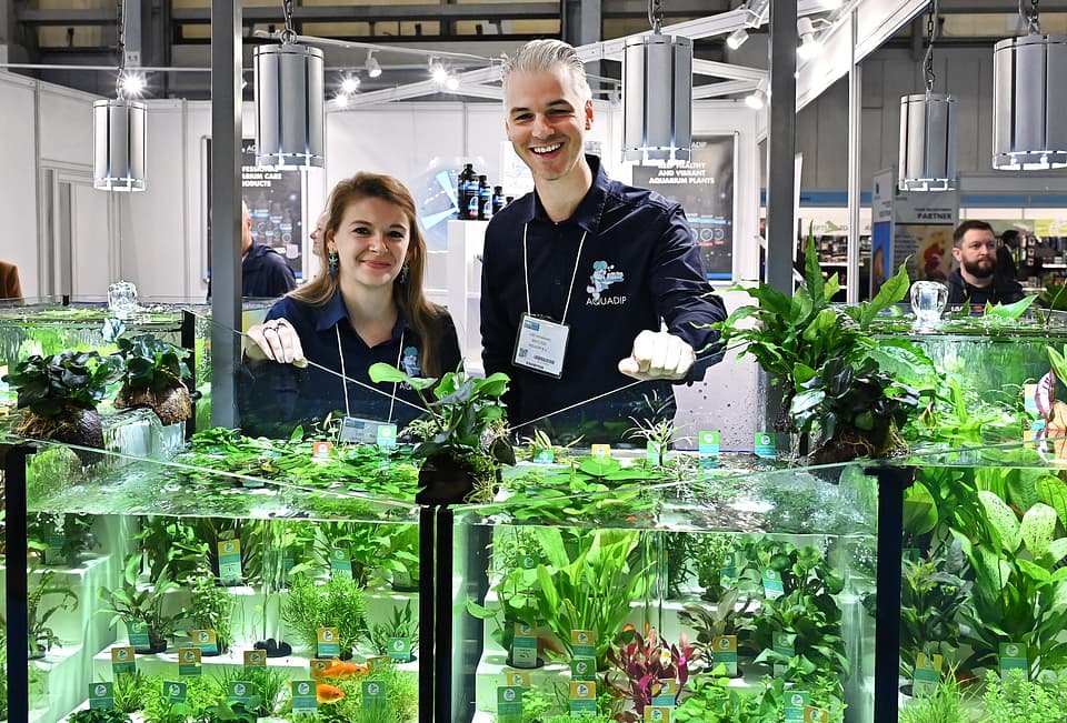 Figure 22. Aquadip's planted aquarium display in the PATS 2025 Aquatics Zone, with live plants, fish and treatment bottles visible. Field photo from the author's on-site collection, PATS 2025.