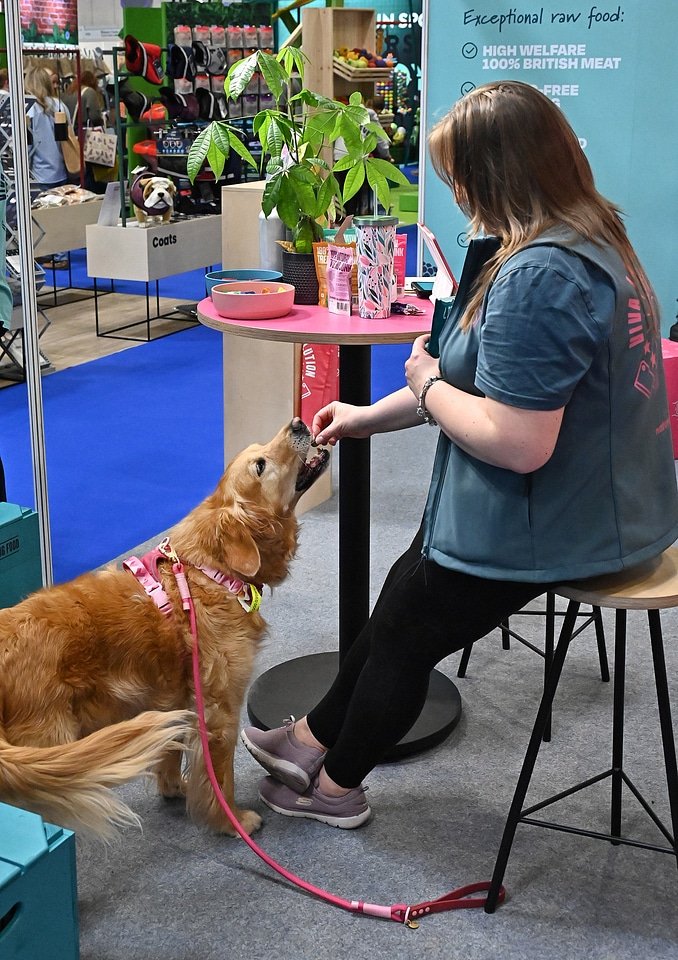 Figure 13. High-welfare raw food branding at PATS 2025, with a visitor's golden retriever being given a treat at the stand. Field photo from the author's on-site collection, PATS 2025.