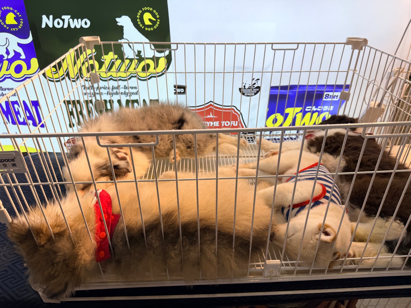 The "NoTwo" Booth: Puppies as the Brand – The One Pet Show (TOPS) 2026