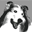 Bern Dog Brand Products, Llc