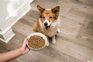 Frozen raw dog food tubes under FDA warning