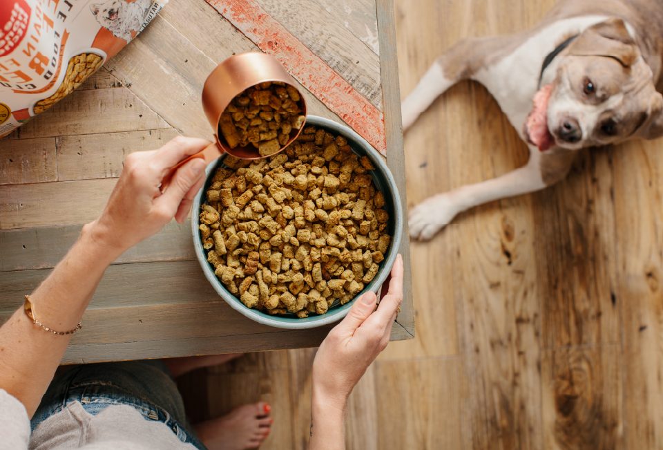 Gambol Pet, China’s Leading Dry Pet Food Manufacturer, Wins Shareholder Nod for RMB 1.1 Billion Convertible Bond