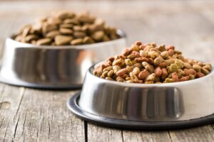 Kibble bowl with microbial protein ingredient