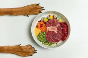 Pet Market Canada Leader Pet Valu Reports Q2 FY2026 Results: Revenue Up 3.6%, Adjusted EBITDA Up 8.0% — pet industry editorial image