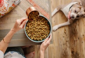 United Petfood Acquires Wellness Pet Company's Arkansas Dry Pet Food Plant, Adding Third North American Manufacturing Site — pet industry editorial image
