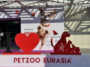 European veterinary pharmaceutical market — Virbac companion animal portfolio