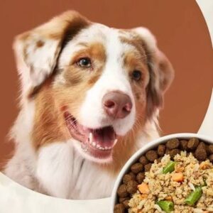 ZU Acquires Nine PetOutlet Stores in Portugal as Pet Retail Trends Favour Consolidation