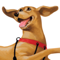 Yuppie Puppy Pet Products, Inc. logo