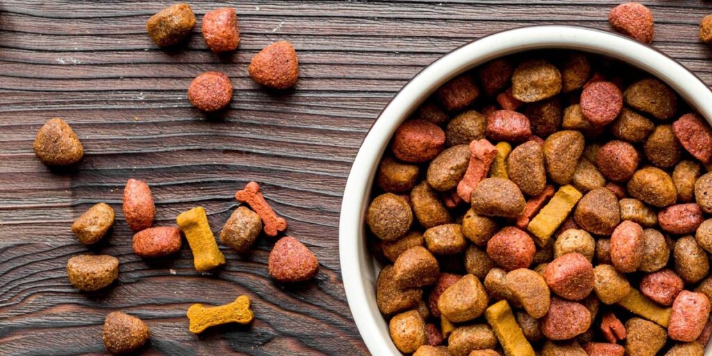 Global Pet Food Market Size & Forecast