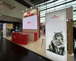 New EU €3 low-value import duty takes effect, reshaping pet food e-comme — European pet retail market