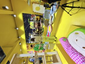 Falabella Group: LatAm Retail Ecosystem and Pet Entry Points