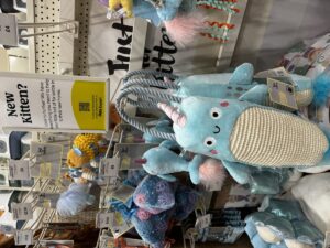 Jollyes FY2026 — China pet retail market