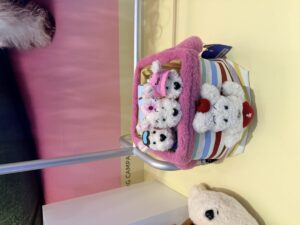 Mars Royal Canin Expands Tianjin Plant With New Dry and Wet Food Lines,  — China pet retail market