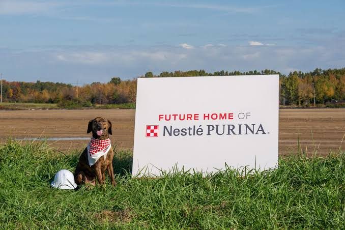 Nestlé Purina Announces $550M Ohio Plant Opening and THB 64B Thailand Expansion, Marking Largest Manufacturing Push in Purina History