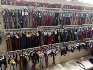 ODM vs. OEM Pet Products Explained: Manufacturing Model Comparison