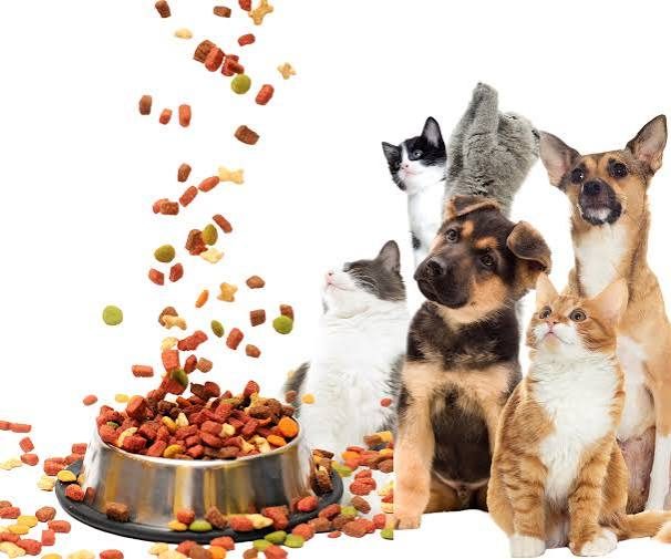 Ollie Dog Food Review: Fresh Recipes, Cost & Verdict 2025