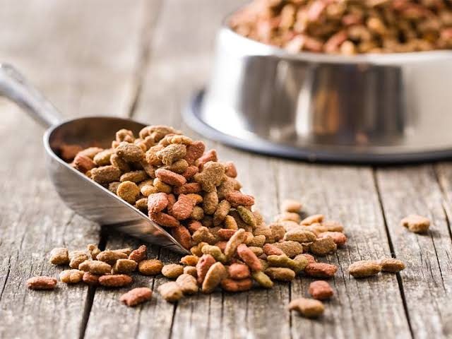 Orijen Cat Food Review: 85-90% Animal Content, Worth It?