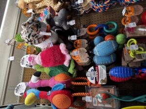 Pet Business Plan and Financial Model Guide