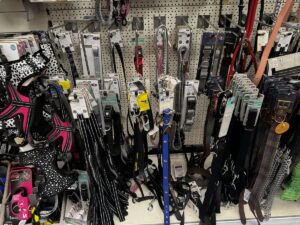 Pet Humanization Trend Impact on Industry