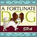 A Fortunate Dog Spa