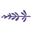 Adored Beast Apothecary