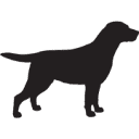 Animals Only Ltd logo