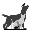 Aquapet logo