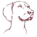 ArgonPetfood