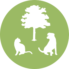 Barb Leppke logo