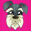 Barbudogs Dog Grooming