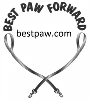 Best Paw Forward