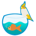 Blue Bird Pet shop