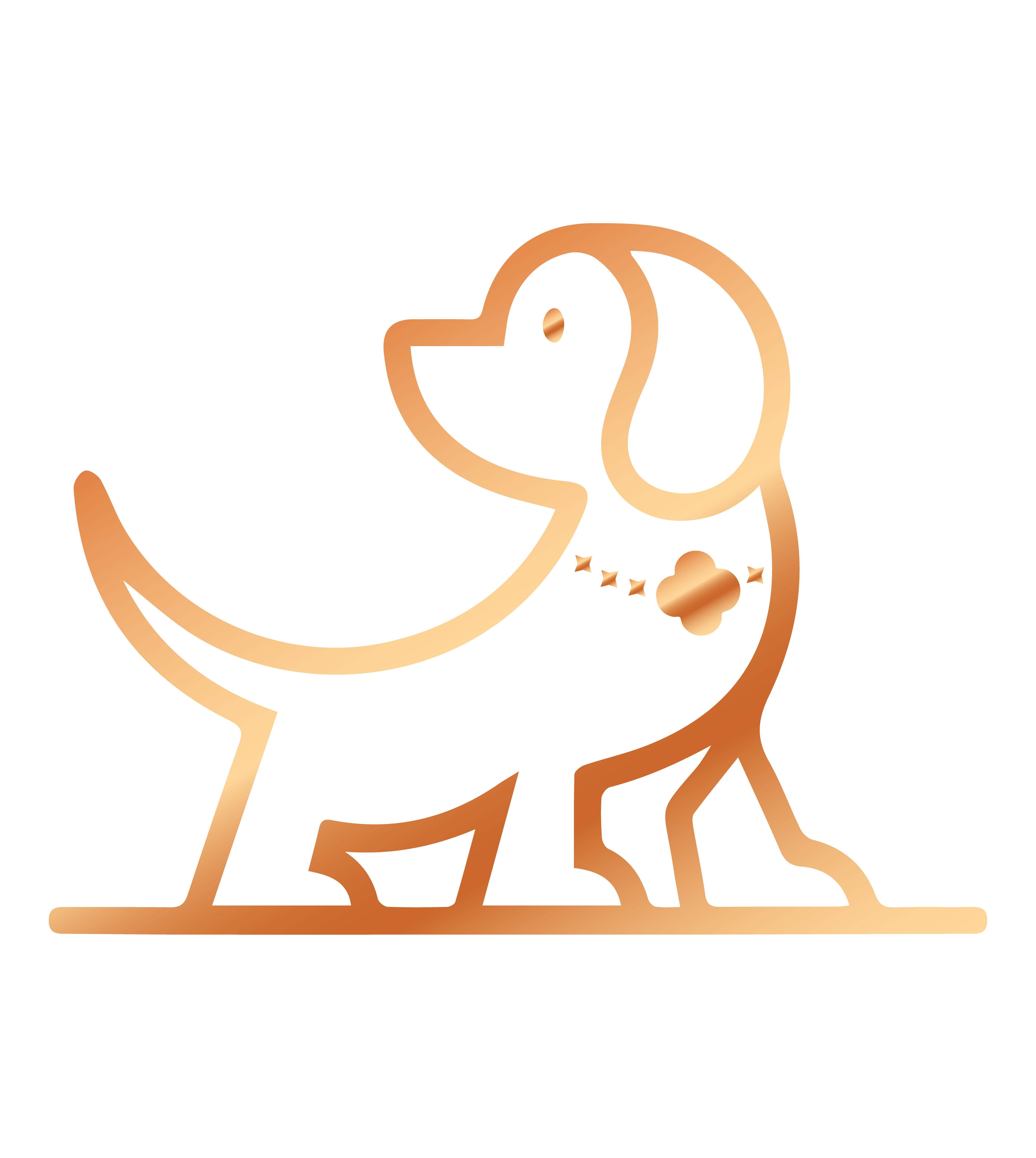 Bonitapet & Nyamtoria