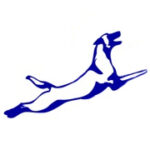 Canine Academy