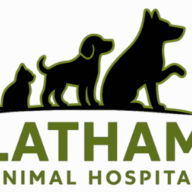 Colonie Animal Hospital Inc logo
